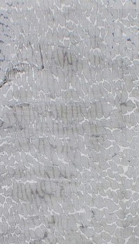 Vintage Silky ag99a p.cream-p.l.grey